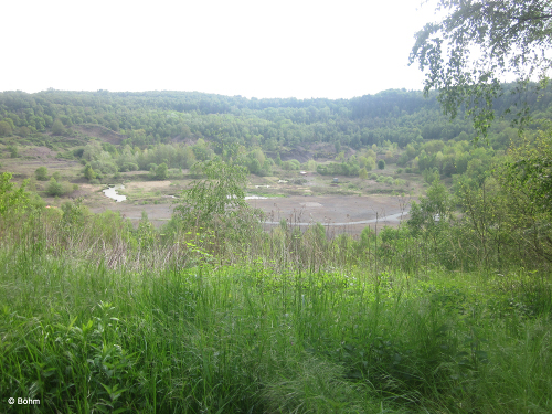 Lerngang 2014 Messel Senckenberg Bild 1